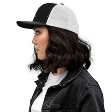 Load image into Gallery viewer, Wild Fire Logo Snap Back Hat
